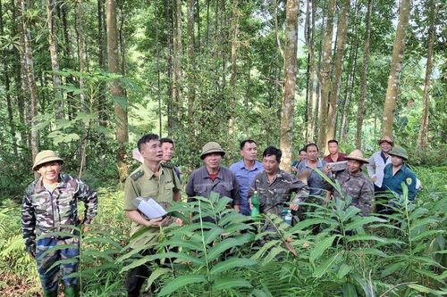 Tuyên Quang: Hạt Kiểm lâm khu vực IV đồng hành cùng hộ dân cấp chứng chỉ rừng FSC