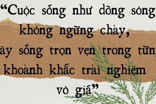 Đề thi thử tốt nghiệp môn Ngữ văn năm 2026: Sống như một dòng sông