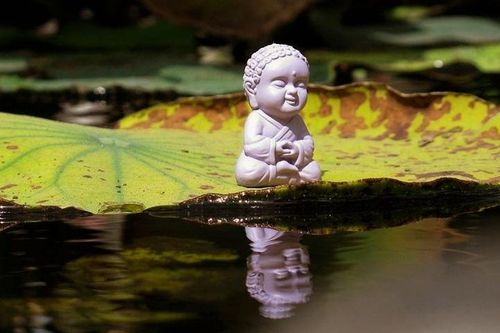 Kết hợp tâm lý học Carl Rogers và triết học Phật giáo trong công tác giáo dục thanh thiếu niên