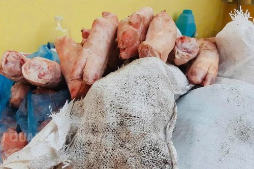 Thu giữ 1 tấn chân lợn bốc mùi tuồn lậu vào Việt Nam