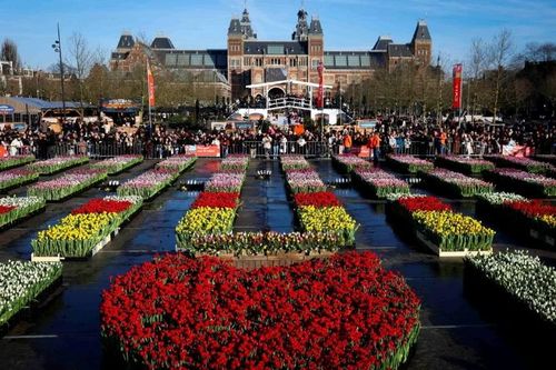 Điểm đặc biệt của lễ hội hoa Tulip Hà Lan 2026