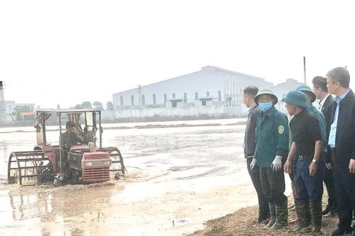Gần 45% diện tích có nước phục vụ gieo cấy lúa đông xuân 2025-2026