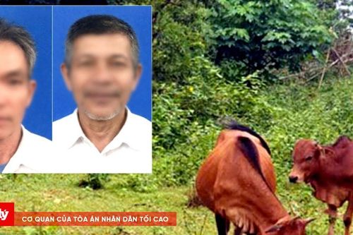 Bò phá vườn keo, anh em trai dùng dao chém nhau