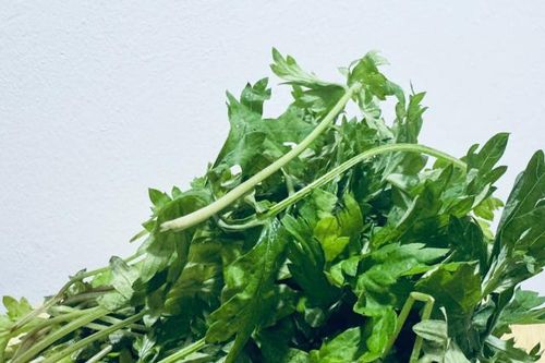 Loại cây mọc đầy bờ bụi ở quê lại là 'thần dược' trong mùa đông