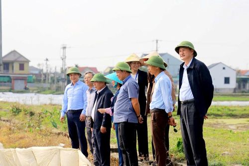 Tập trung đẩy nhanh tiến độ, đảm bảo an toàn cho sản xuất vụ Xuân 2026
