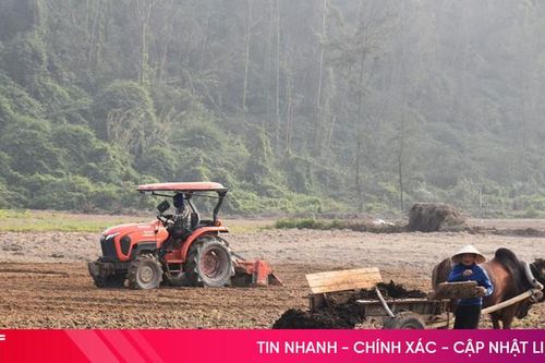 Nông dân hối hả sản xuất vụ lạc xuân