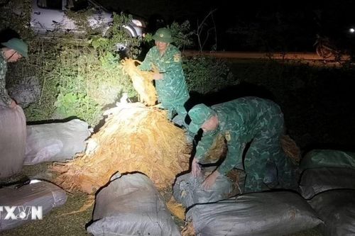 Ngày 4/2 sẽ xét xử 11 bị cáo trong đường dây buôn lậu vàng xuyên biên giới