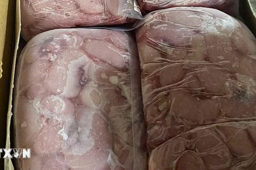 Thành phố Hồ Chí Minh phát hiện hơn 18 tấn thực phẩm không rõ nguồn gốc xuất xứ
