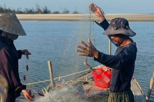Ngư dân Hà Tĩnh trúng đậm hàng trăm tấn 'lộc trời', 'đút túi' tiền triệu mỗi ngày