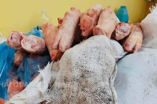 1.000kg chân lợn bốc mùi, 220kg xúc xích đông lạnh vừa bị thu giữ