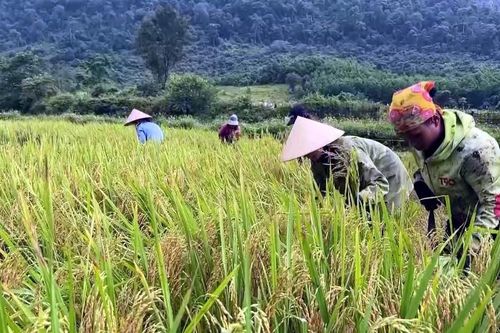 Cuộc sống của đồng bào Rục 'sang trang' nhờ ơn Đảng
