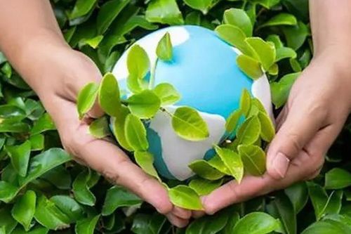 Đưa môi trường thành 'trục dẫn dắt' - Bước chuyển chiến lược trong tư duy phát triển