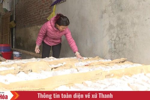 Thoát nghèo từ những mô hình sinh kế thiết thực