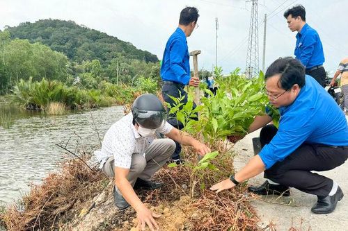 Phường Tô Châu phát động Tết trồng cây 'Đời đời nhớ ơn Bác Hồ'