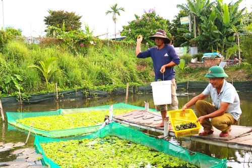 Điểm tựa giúp nông dân phát triển kinh tế