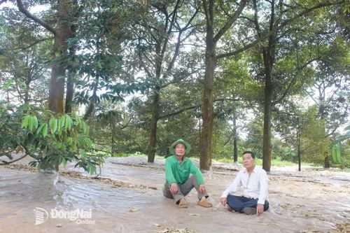 Chính sách về miễn, giảm thuế đất nông nghiệp, tiền sử dụng đất