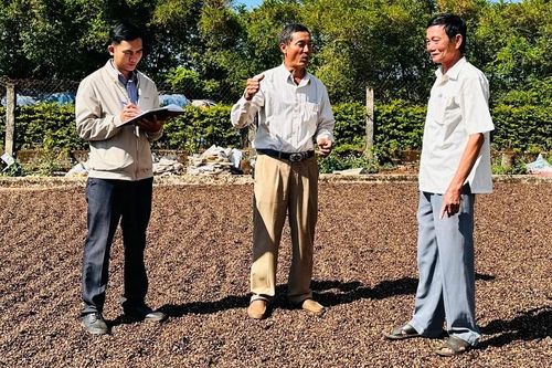 Chuyện ông Tiến ở Cát Mỹ