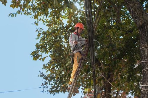 Gọn gàng cáp viễn thông