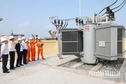 Công ty Điện lực Ninh Bình kiểm tra lưới điện phục vụ bơm nước gieo cấy vụ Đông Xuân