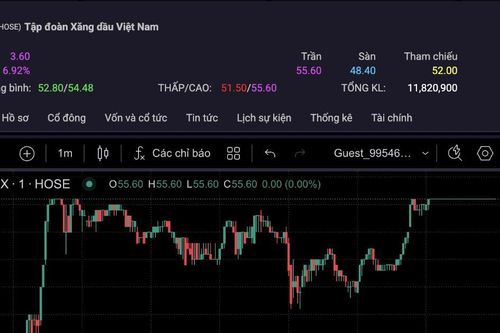 'Sắc tím' duy nhất của rổ VN30