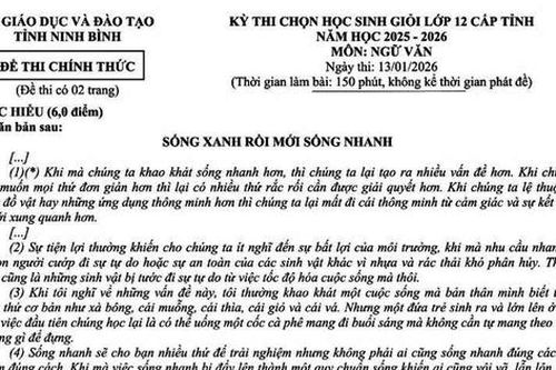 Đề thi học sinh giỏi Ngữ văn: Sống xanh rồi mới sống nhanh