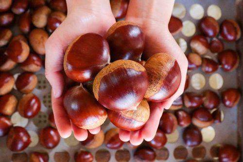 Loại hạt bán đầy ngoài đường, có hàm lượng kali gấp 3 lần chuối, canxi ngang sữa tiếc là nhiều người bỏ qua