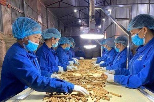 Thể chế - đòn bẩy cho phát triển nhanh, bền vững
