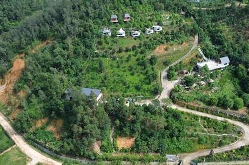 'Rừng trong phố, phố trong rừng' - tầm nhìn mới cho nông nghiệp Thủ đô