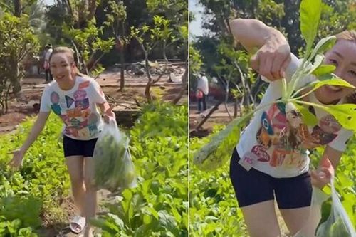 Khu vườn xanh mướt mắt nhà Chi Bảo và vợ trẻ khiến nhiều người ao ước