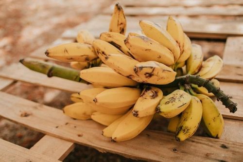 Tin mừng cho người thích ăn chuối