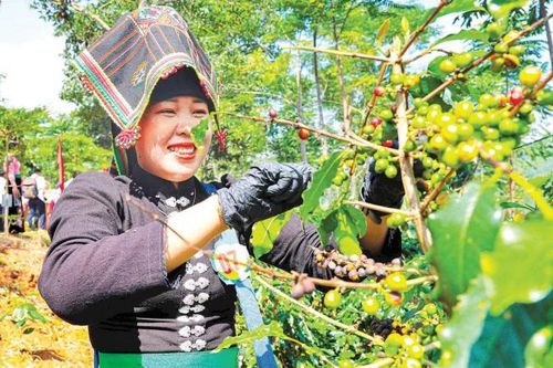 Hiện thực hóa mục tiêu xanh, thông minh, bền vững