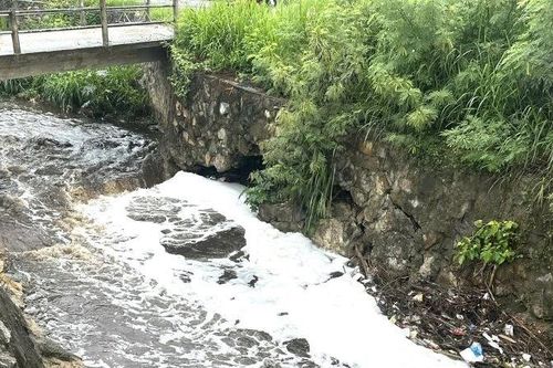 Khánh Hòa khẩn trương xử lý ô nhiễm môi trường tại bãi rác Rù Rì