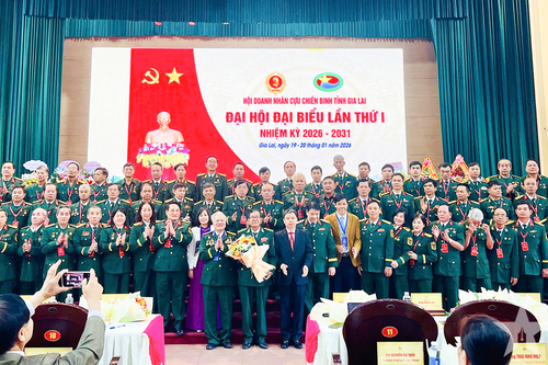 Hội doanh nhân cựu chiến binh tỉnh Gia Lai: Tạo việc làm cho hơn 7.000 lao động