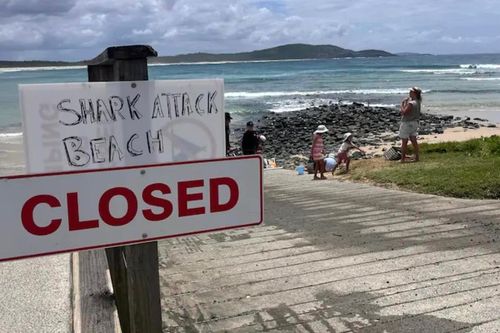 Australia đóng cửa nhiều bãi biển do cá mập tấn công người