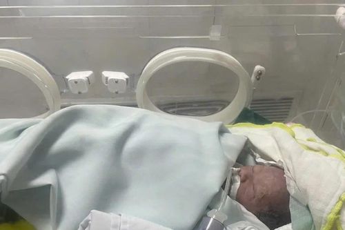 Cứu sống trẻ sơ sinh bị bỏ rơi dưới mương nước