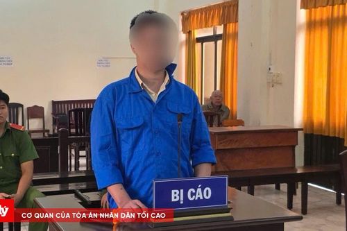 Lĩnh 3 năm tù và bị phạt 1 tỷ đồng vì vận chuyển trái phép hơn 35 tấn hải sản