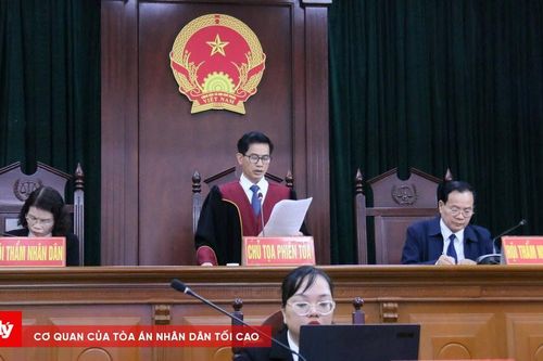 Mua bán ma túy, hai bị cáo lĩnh tổng cộng 17 năm tù