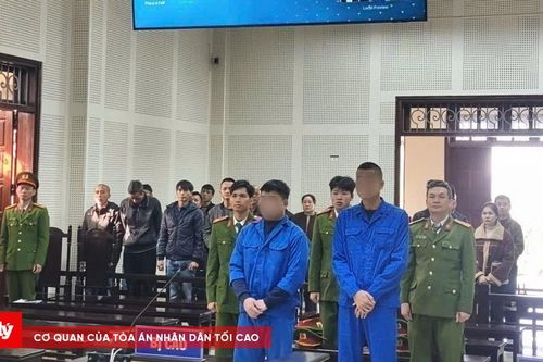Tổ chức đưa người nhập cảnh trái phép, hai bị cáo lĩnh án