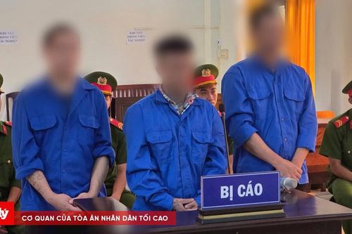 3 bị cáo lãnh án 29 năm tù vì tội giết người