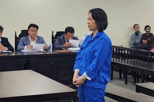 Người phụ nữ ở Hà Nội lừa đảo chiếm đoạt hơn 140 tỷ đồng