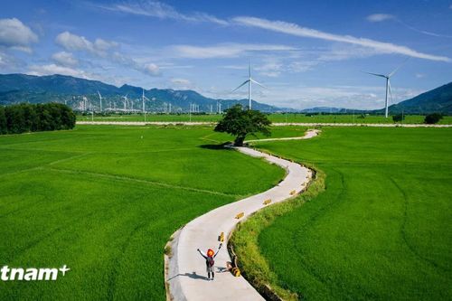 Chính phủ yêu cầu thúc đẩy đồng bộ các giải pháp phát triển du lịch bền vững