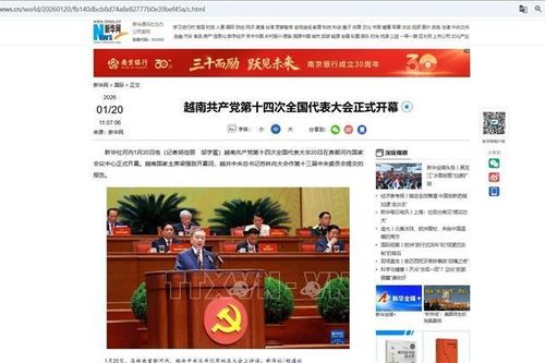 Truyền thông quốc tế theo sát các định hướng phát triển của Việt Nam