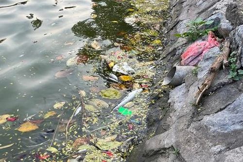 Hồ điều hòa Mai Dịch ngập rác, môi trường xuống cấp nghiêm trọng