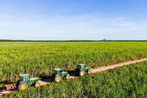 Nông nghiệp Việt và bài toán ESG: Làm được nhưng nói chưa đúng