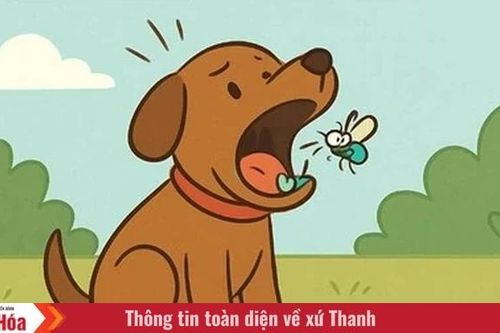 Tôi là Tiểu Bạch và đây là chuyện của lũ mèo chúng tôi: Câu chuyện thứ 15 - Ngáp phải ruồi