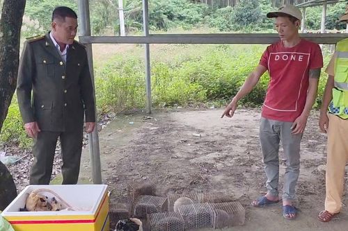 Đa dạng hình thức tuyên truyền bảo vệ động vật hoang dã