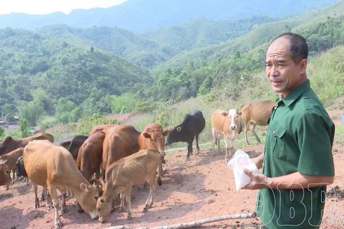 Đài hoa dâng Đảng nơi cực Tây Tổ quốc