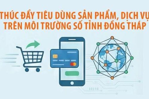 Thúc đẩy tiêu dùng sản phẩm, dịch vụ trên môi trường số tỉnh Đồng Tháp