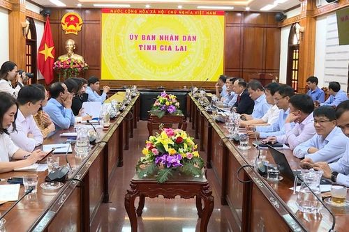Phó Chủ tịch UBND tỉnh Dương Mah Tiệp làm việc với đại diện UNICEF