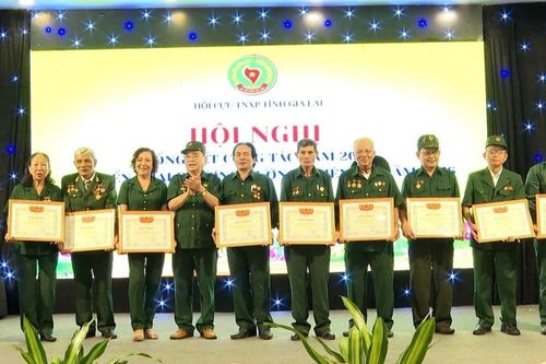 Hội Cựu Thanh niên xung phong tỉnh Gia Lai triển khai nhiệm vụ năm 2026
